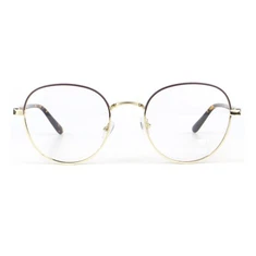 Combined Optical Frame